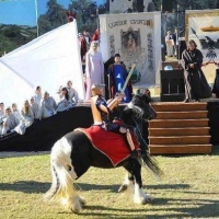 Corteo Storico Matildico