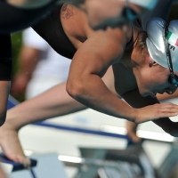 50° Trofeo Settecolli Internazionali di Nuoto